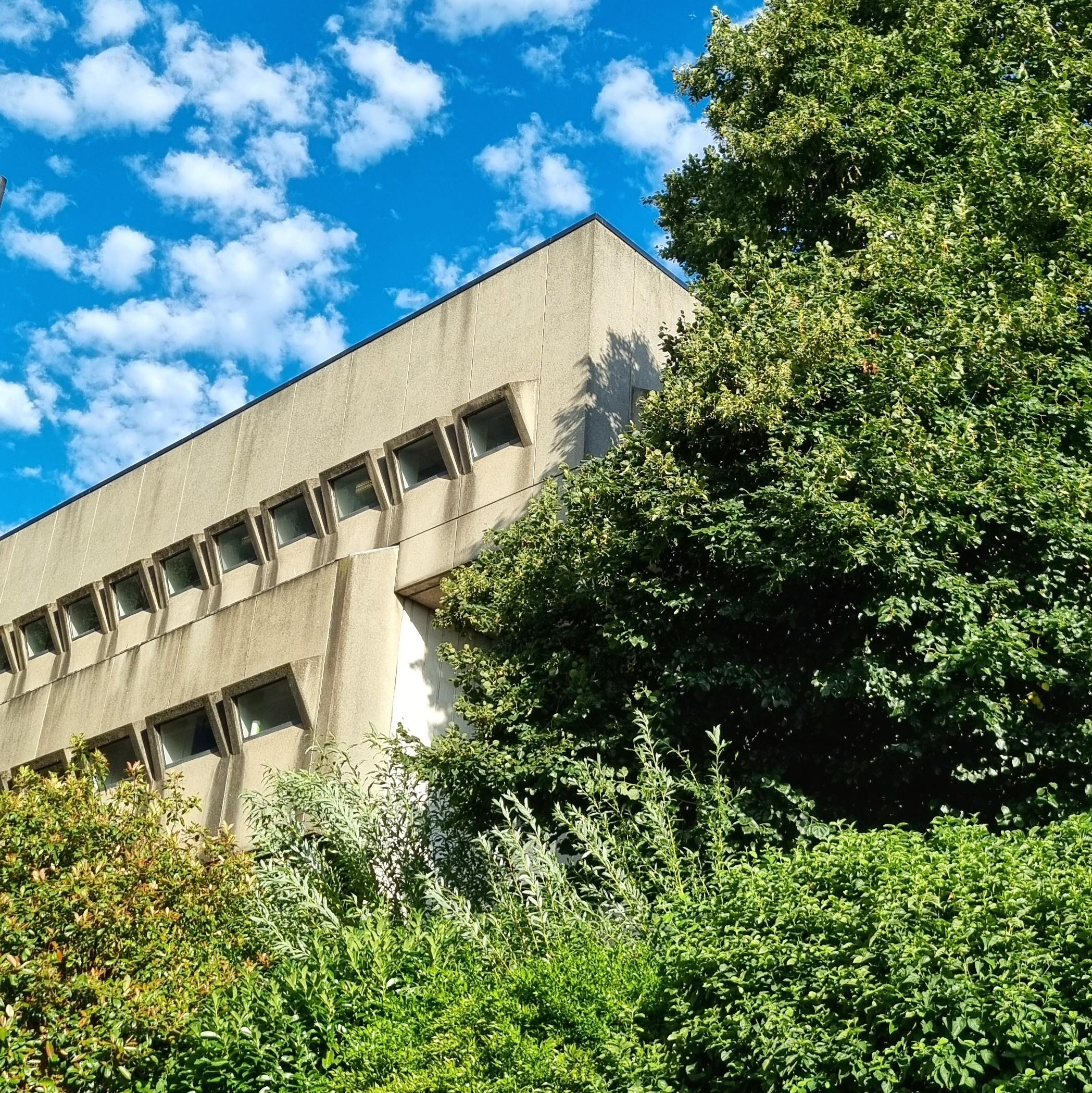 The Arts and Social Sciences Library under a blue sky, viewed through trees.